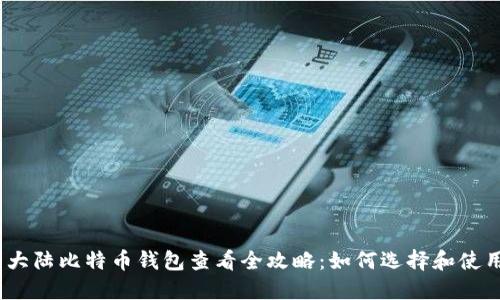 : 大陆比特币钱包查看全攻略：如何选择和使用？