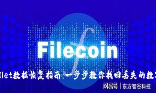 TPWallet数据恢复指南：一步步教你找回丢失的数字资产
