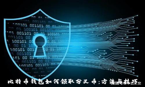   
比特币钱包如何领取分叉币：方法与技巧