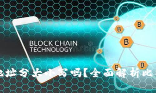 比特币钱包地址分大小写吗？全面解析比特币地址规则