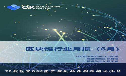 TP钱包里BSC资产消失的原因及解决办法