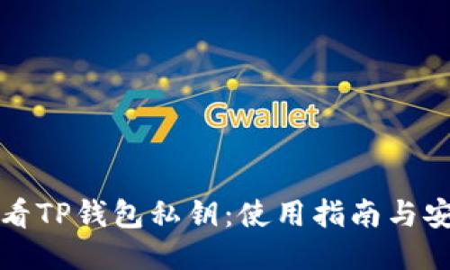 如何查看TP钱包私钥：使用指南与安全提示