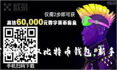 如何安全读取比特币钱包：新手指南