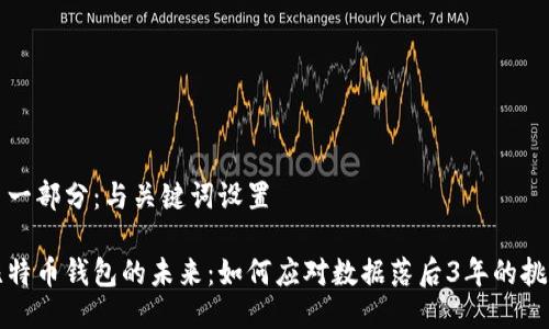 第一部分：与关键词设置

比特币钱包的未来：如何应对数据落后3年的挑战