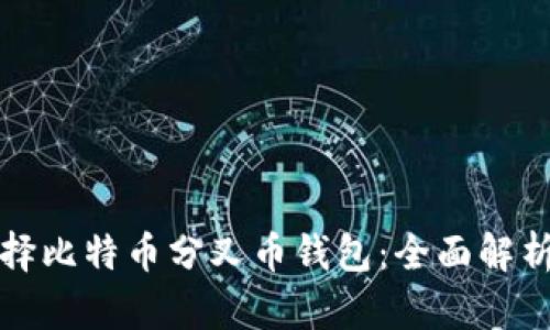 如何选择比特币分叉币钱包：全面解析与推荐