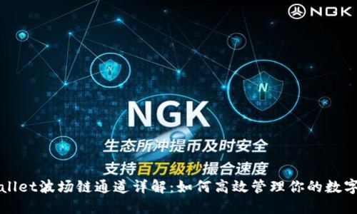 TPWallet波场链通道详解：如何高效管理你的数字资产