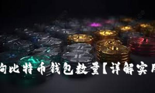 如何快速查询比特币钱包数量？详解实用技巧与工具