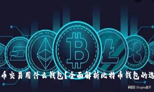美国比特币交易用什么钱包？全面解析比特币钱包的选择与使用