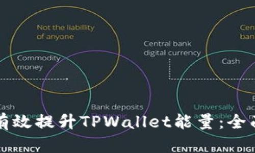 如何有效提升TPWallet能量：全面指南