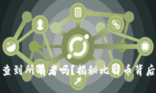 比特币钱包能查到所有者吗？揭秘比特币背后的隐私与安全