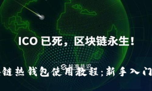区块链热钱包使用教程：新手入门指南