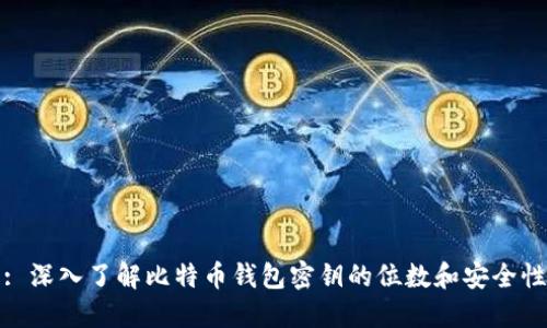 : 深入了解比特币钱包密钥的位数和安全性