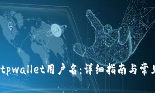:如何找回tpwallet用户名:详细指南与常见问题解答
