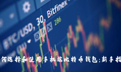 如何选择和使用手机端比特币钱包：新手指南