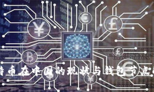 比特币在中国的现状与钱包节点解析