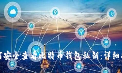 如何安全查看比特币钱包私钥：详细指南