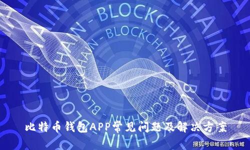 比特币钱包APP常见问题及解决方案