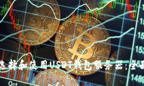如何选择和使用USDT钱包服务器：全面指南