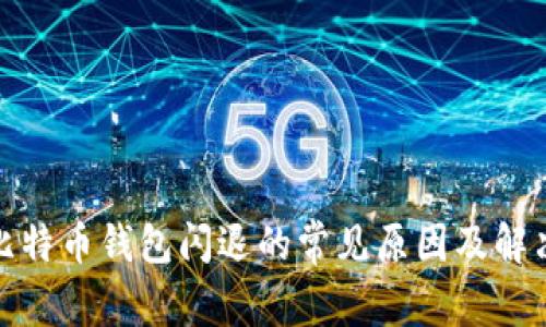 安装比特币钱包闪退的常见原因及解决方案