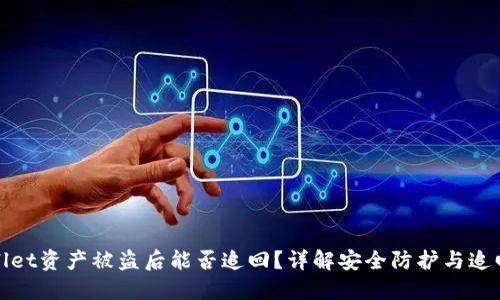 TPWallet资产被盗后能否追回？详解安全防护与追回措施