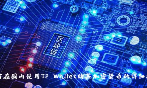 如何在国内使用TP Wallet购买加密货币的详细指南