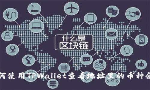 如何使用TPWallet查看地址里的币种余额