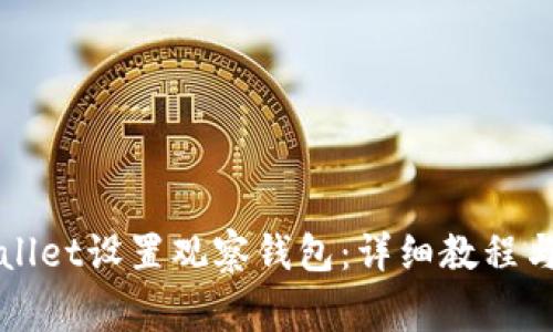 如何使用TPWallet设置观察钱包：详细教程与常见问题解答