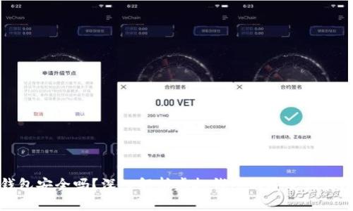 虚拟币钱包安全吗？深入解析虚拟钱包的安全性和防护策略