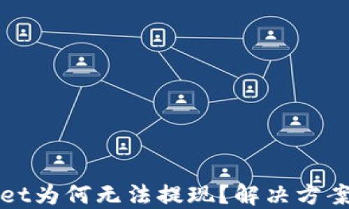 
TPWallet为何无法提现？解决方案全攻略