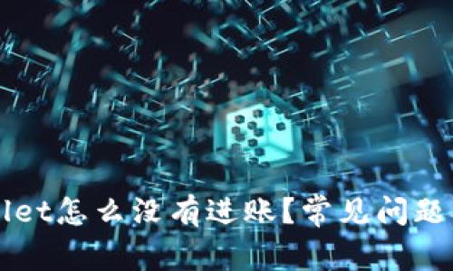 扫码TPWallet怎么没有进账？常见问题及解决方法