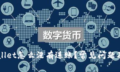 扫码TPWallet怎么没有进账？常见问题及解决方法