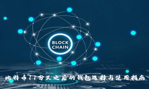比特币11分叉之后的钱包选择与使用指南