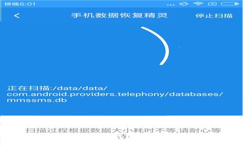 如何高效查询10个比特币钱包地址及其余额和交易历史