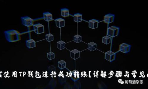 如何使用TP钱包进行成功转账？详解步骤与常见问题