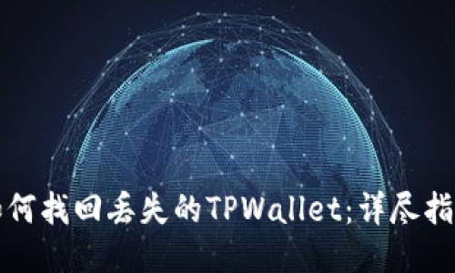 如何找回丢失的TPWallet：详尽指南