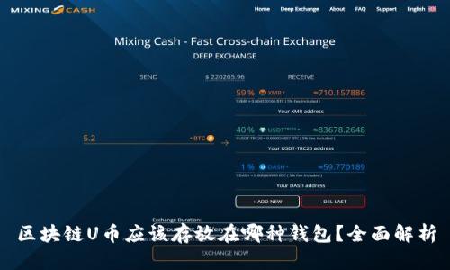 区块链U币应该存放在哪种钱包？全面解析