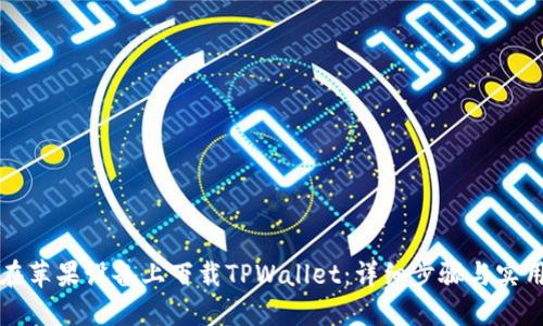 如何在苹果设备上下载TPWallet：详细步骤与实用指南