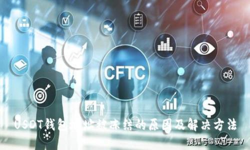 USDT钱包地址被冻结的原因及解决方法