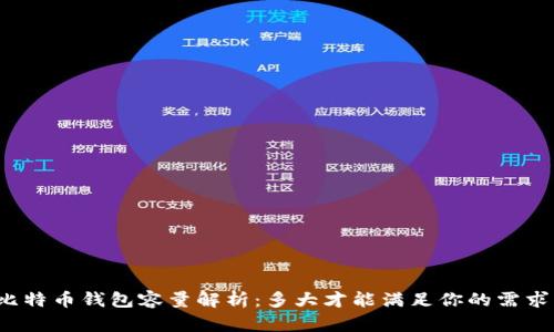 比特币钱包容量解析：多大才能满足你的需求？