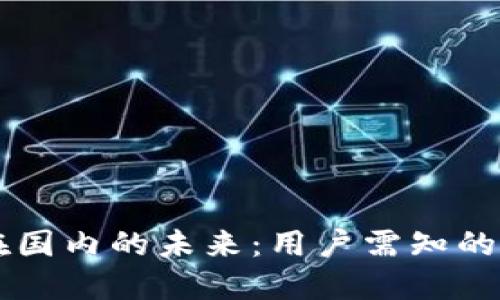TPWallet在国内的未来：用户需知的变化与适应
