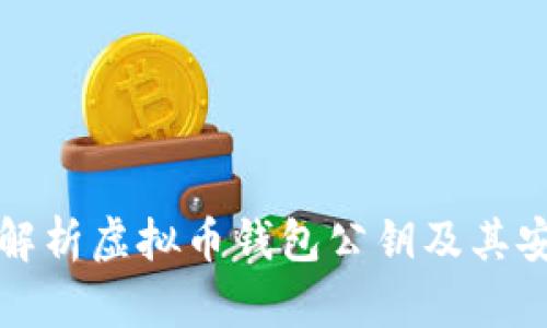 深入解析虚拟币钱包公钥及其安全性