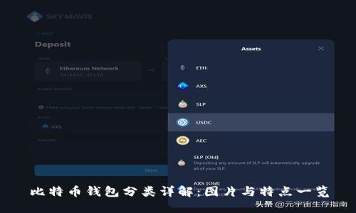比特币钱包分类详解：图片与特点一览