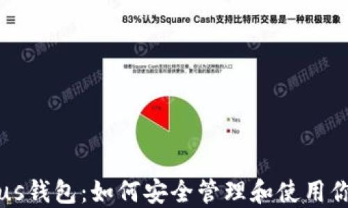 
比特币与Plus钱包：如何安全管理和使用你的数字资产