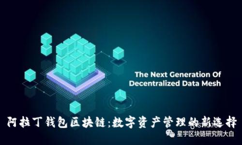 阿拉丁钱包区块链：数字资产管理的新选择