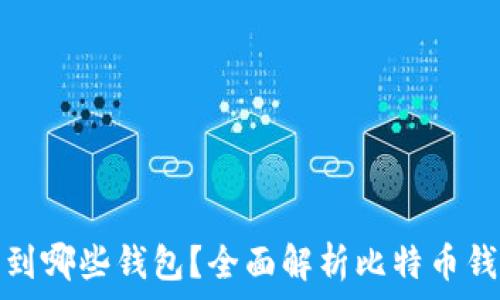   
比特币可以提币到哪些钱包？全面解析比特币钱包类型与安全性