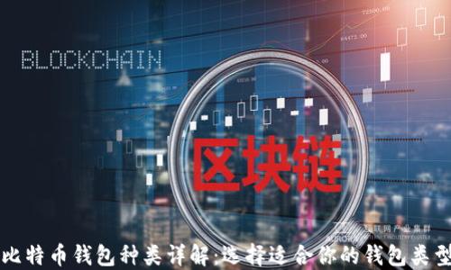 
比特币钱包种类详解：选择适合你的钱包类型
