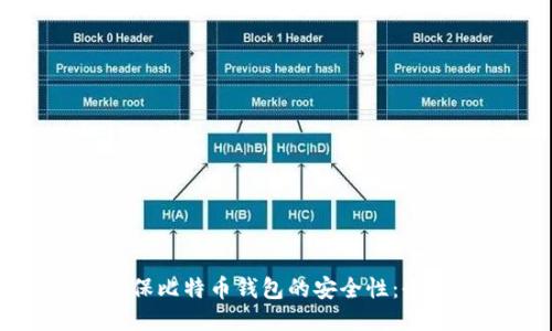 如何确保比特币钱包的安全性：全面指南