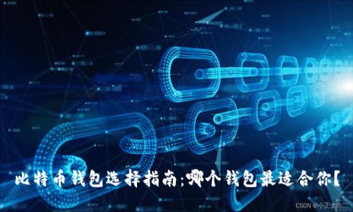 比特币钱包选择指南：哪个钱包最适合你？