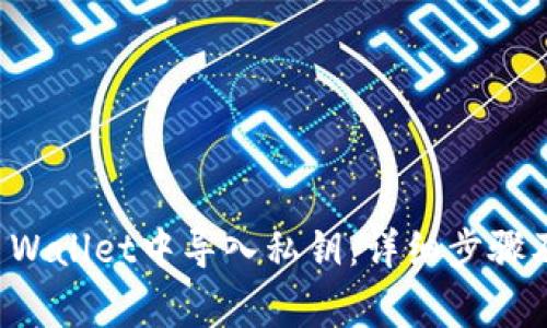 如何在TP Wallet中导入私钥：详细步骤及注意事项