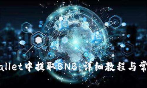 如何在TPWallet中提取BNB：详细教程与常见问题解答